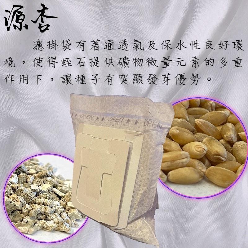 🌺妤珈寵物店🌺 DIY 濾掛式 源杏 小麥草 養生 草本 優質 蔬菜 麥苗 葉綠素 培養土 種植盒組 辦公觀賞盆栽-細節圖3