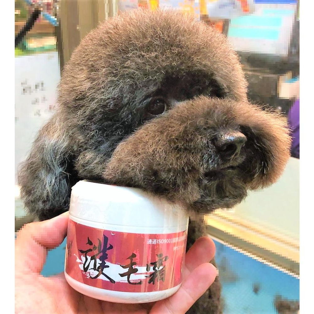 🌺妤珈寵物店🌺  ISO國際品質美容室專用源杏 輕鬆 護毛霜 200克/瓶 預防寵物毛髮打結.斷裂,洗後速乾蓬鬆型-細節圖3