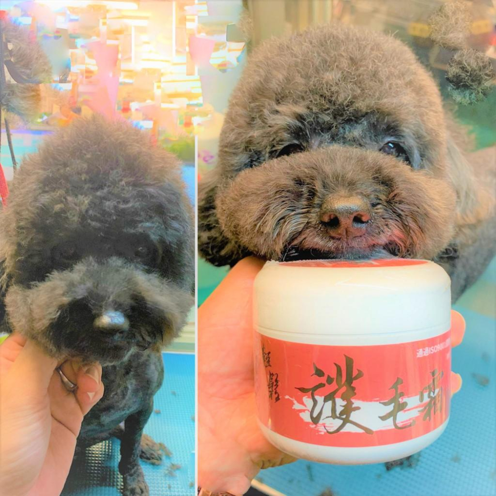 🌺妤珈寵物店🌺  ISO國際品質美容室專用源杏 輕鬆 護毛霜 200克/瓶 預防寵物毛髮打結.斷裂,洗後速乾蓬鬆型-細節圖4