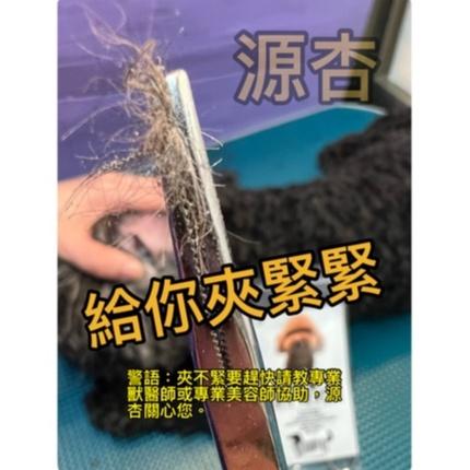 🌺妤珈寵物店🌺 源杏 寵物 犬 狗 鉗子 14cm/支 彎式/直式 拔耳毛 耳朵清潔工具 貓-細節圖2