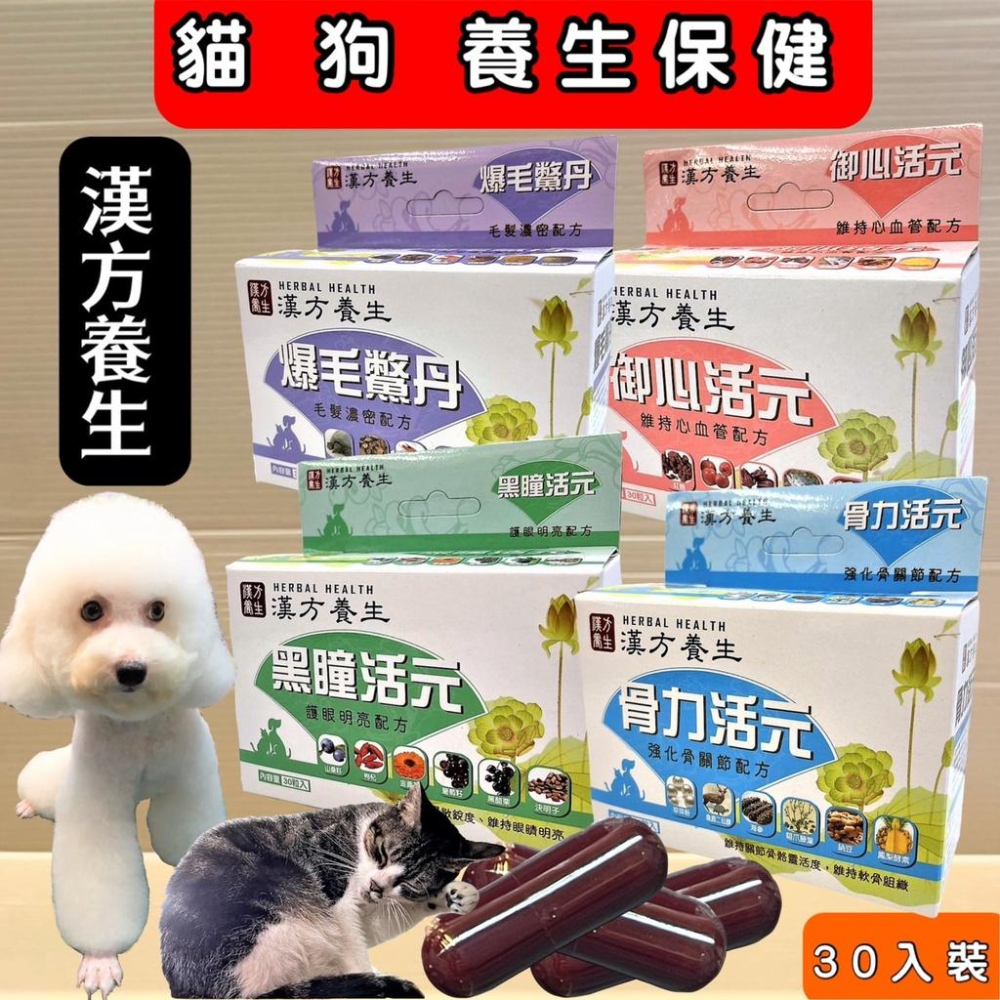 ❤️🌺妤珈寵物店🌺漢方養生 骨力活元30粒/盒 強化關節配方 犬貓適用 台灣製-細節圖2
