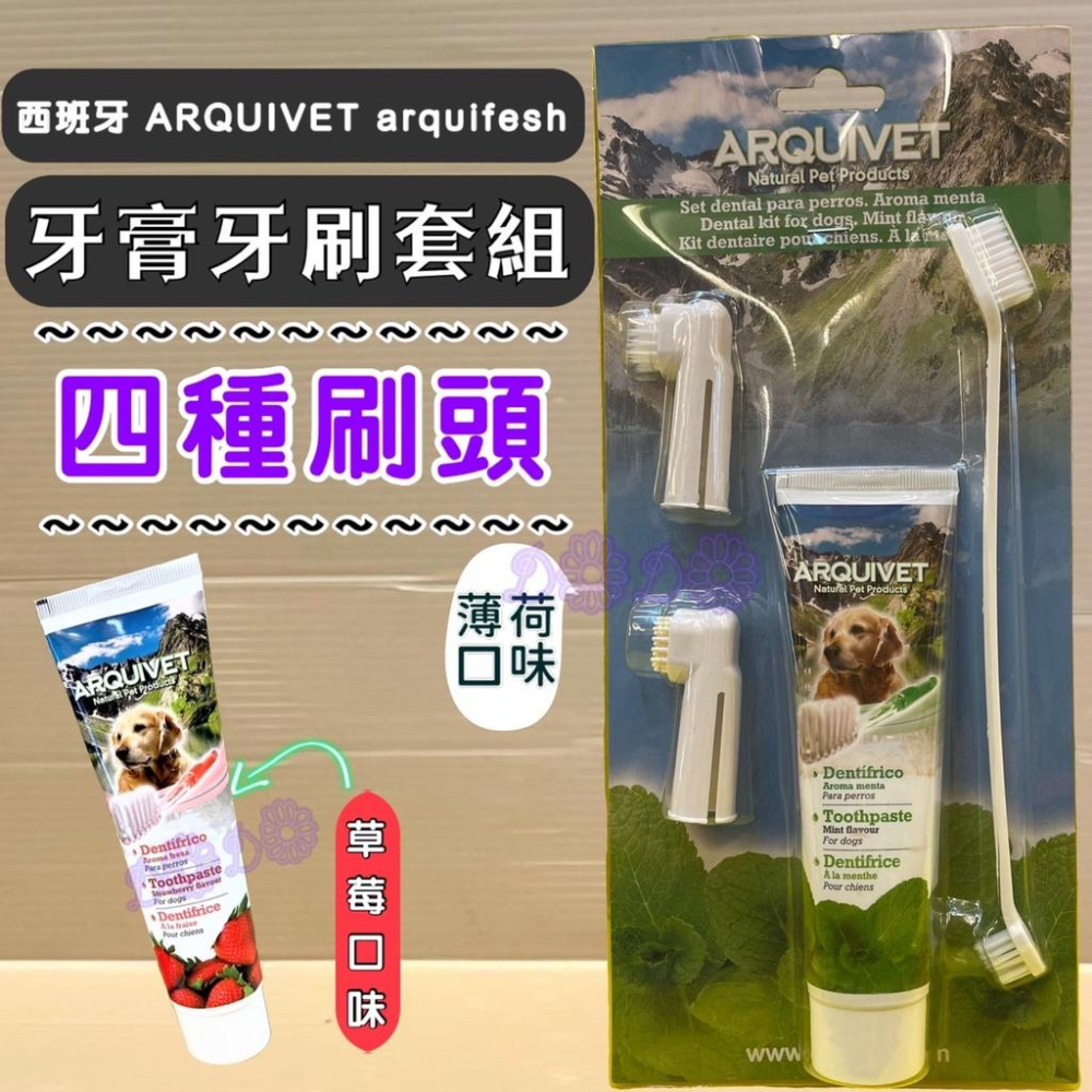 🌺妤珈寵物店🌺 Arqui Fresh➤香甜草莓牙膏100g+牙刷組➤牙膏 犬 狗 護齒 清潔 ARQUIVET-細節圖4