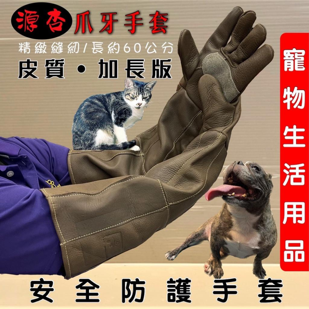源杏爪牙手套 大號 60cm 防咬 手套 掌心二層皮質 寵物 防抓咬 防護 貓抓狗咬 皮質加厚 鸚鵡 刺蝟☆妤珈寵物店☆-細節圖2