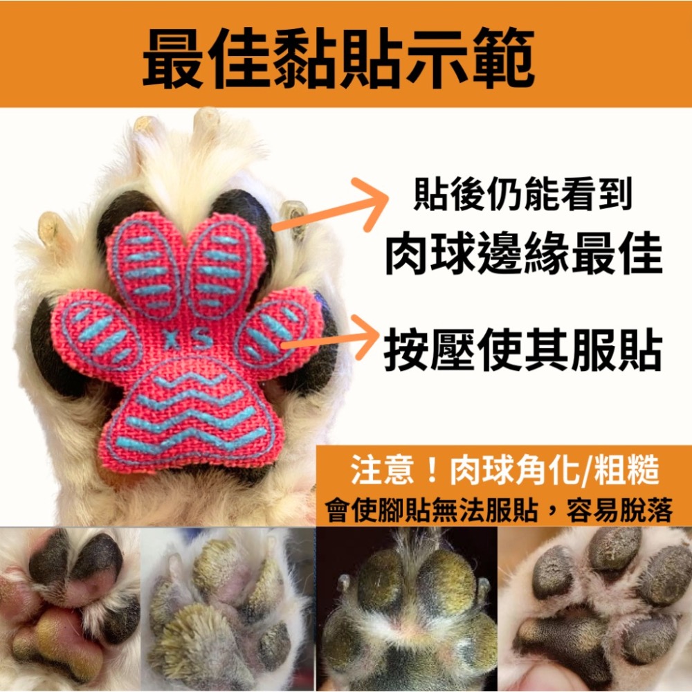 Loobani 寵物防滑腳貼 體驗包24片-加大止滑面積/老犬打滑站不穩關節肌力弱/不喜鞋襪者可用-細節圖3