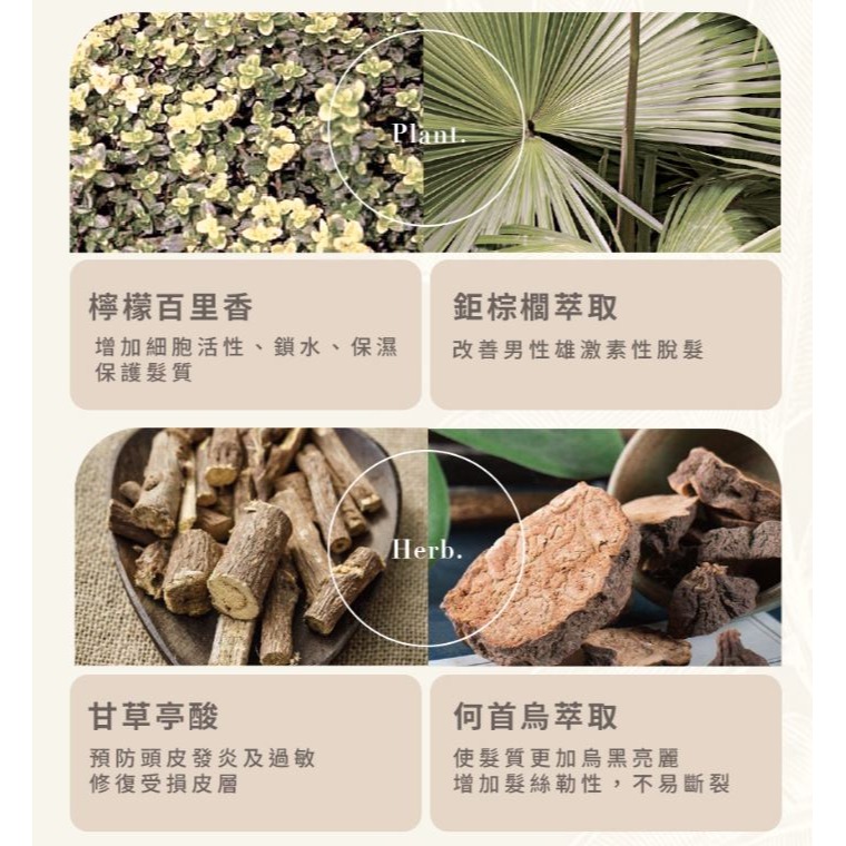THE VITA 頭皮調理液110ml-細節圖7