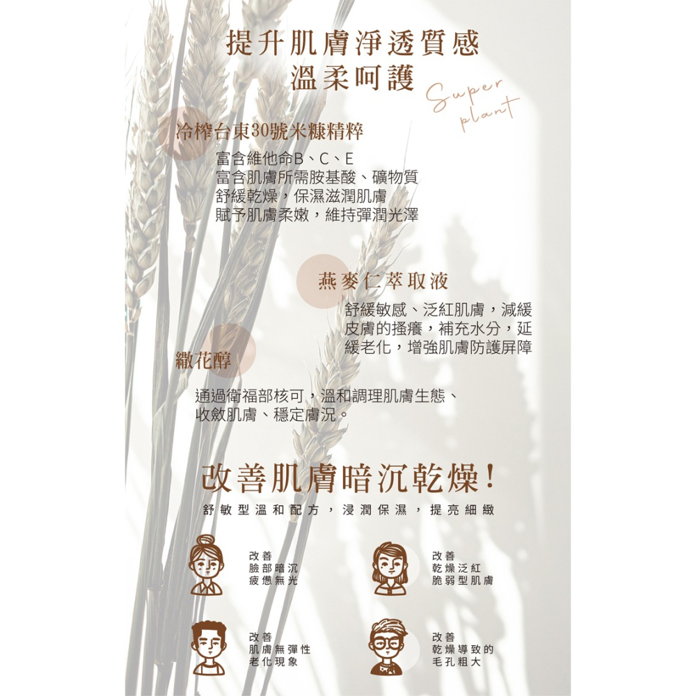 米豆 RiceBean 穀物胺基酸洗面乳系列-細節圖4