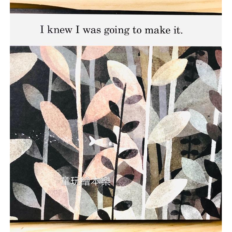 現貨《童玩繪本樂》This is not my hat 精裝硬頁書 這不是我的帽子-細節圖7