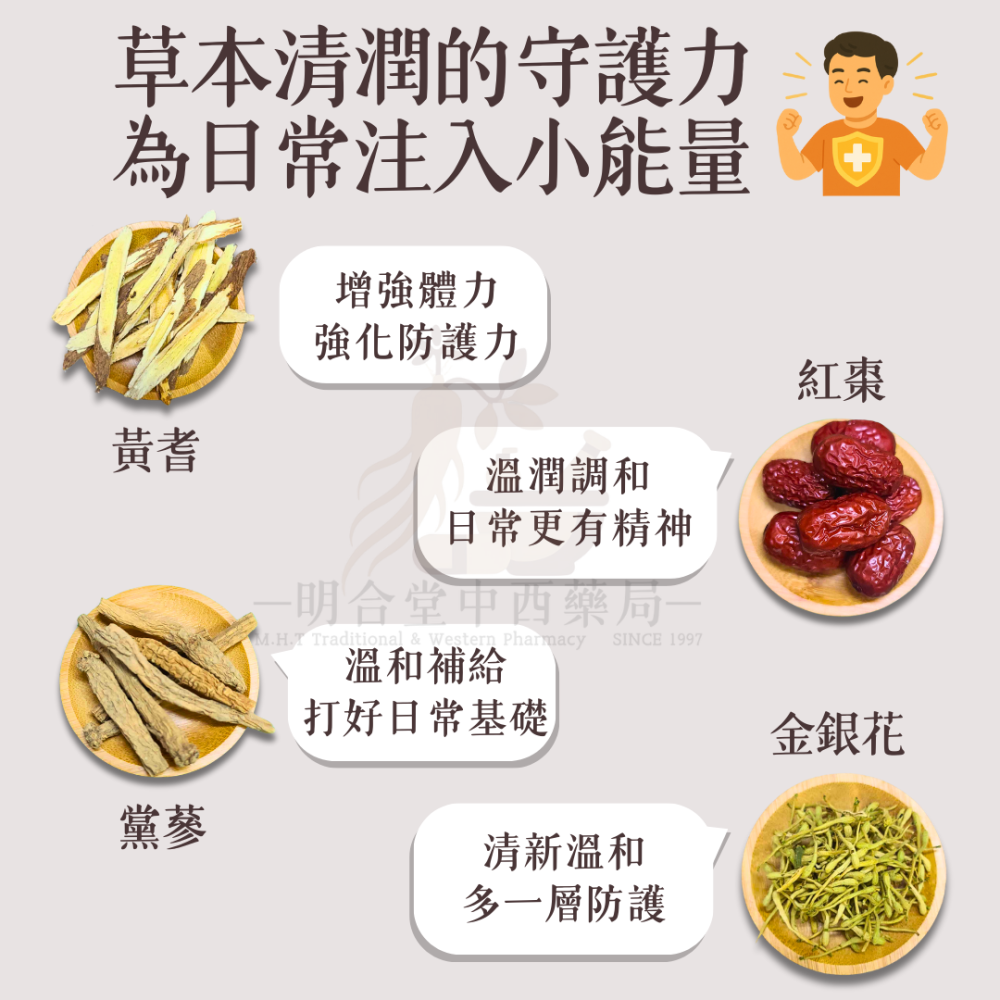 🌿【防護-御方養氣飲】漢方中藥養生茶包|15g|藥師研發|臺灣製|金銀花 魚腥草 黃耆 薄荷等|增強體力·防護力-細節圖4