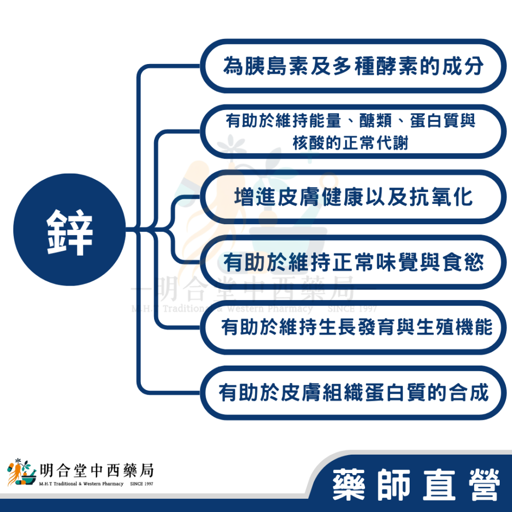 🌟【樂補-葡萄糖酸鋅 錠】藥師精選|90錠|美國製|GMP製造|主打高效含鋅配方｜每日補充健康關鍵-細節圖3