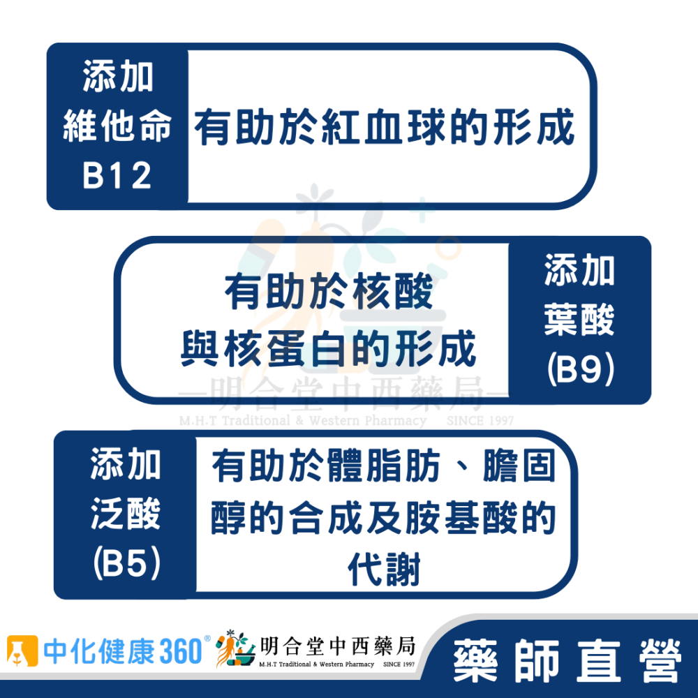 🌟【中化健康360-元氣B群 鋅+杜仲 膠囊】藥師精選|60顆|台灣製|GMP藥廠製造|精神旺盛，好氣色一整天-細節圖4