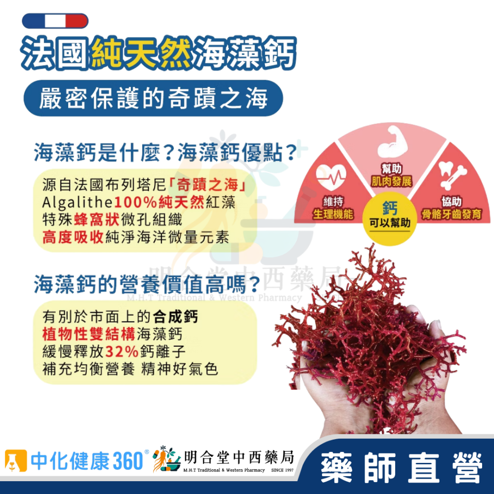 🌟【中化健康360-天然海藻鈣鎂錠】藥師精選|60錠|台灣製|GMP藥廠製造|調節生理機能·法國純天然海藻鈣·鈣片-細節圖3