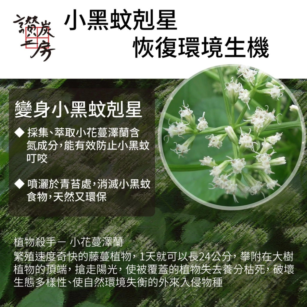 【讚炭工房】小花蔓澤蘭永續循環禮盒/防小黑蚊/防蚊液/手工皂/洗髮乳/小黑蚊剋星長效防蚊/小花蔓澤蘭/永續循環-細節圖6