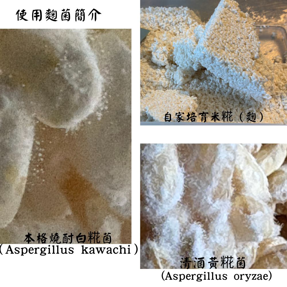 【讚炭工房】季節限定/樹葡萄糀酵飲/米麴甘酒/米糀甘酒/喝的點滴/喝的美容液/0%無酒精/鳳林山泉伏流水竹炭過濾-細節圖4