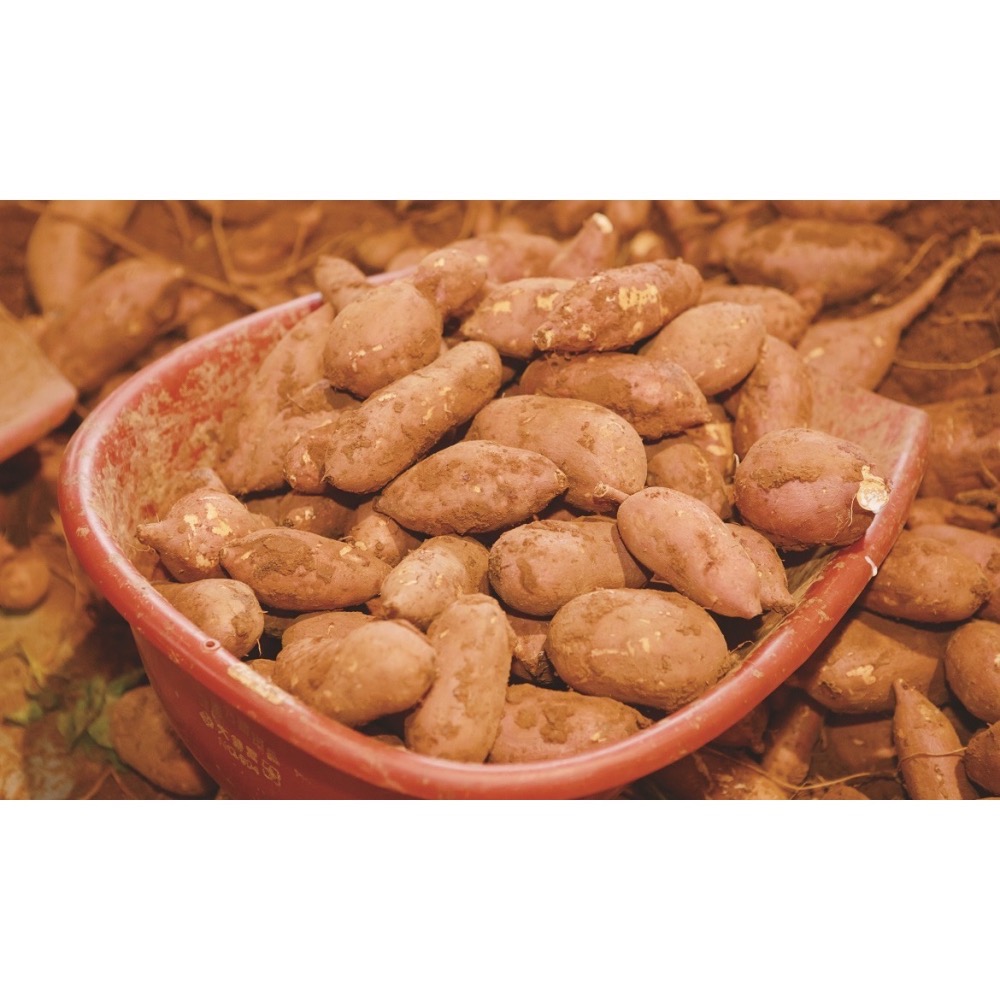 嚴選生地瓜 台南自產自銷-細節圖2