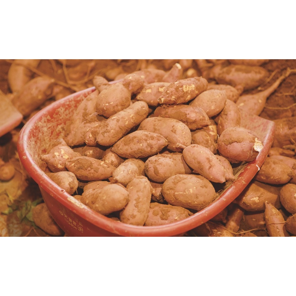 嚴選生地瓜 台南自產自銷-規格圖2