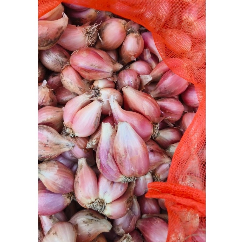 高品質嚴選 台灣紅蔥頭-細節圖3