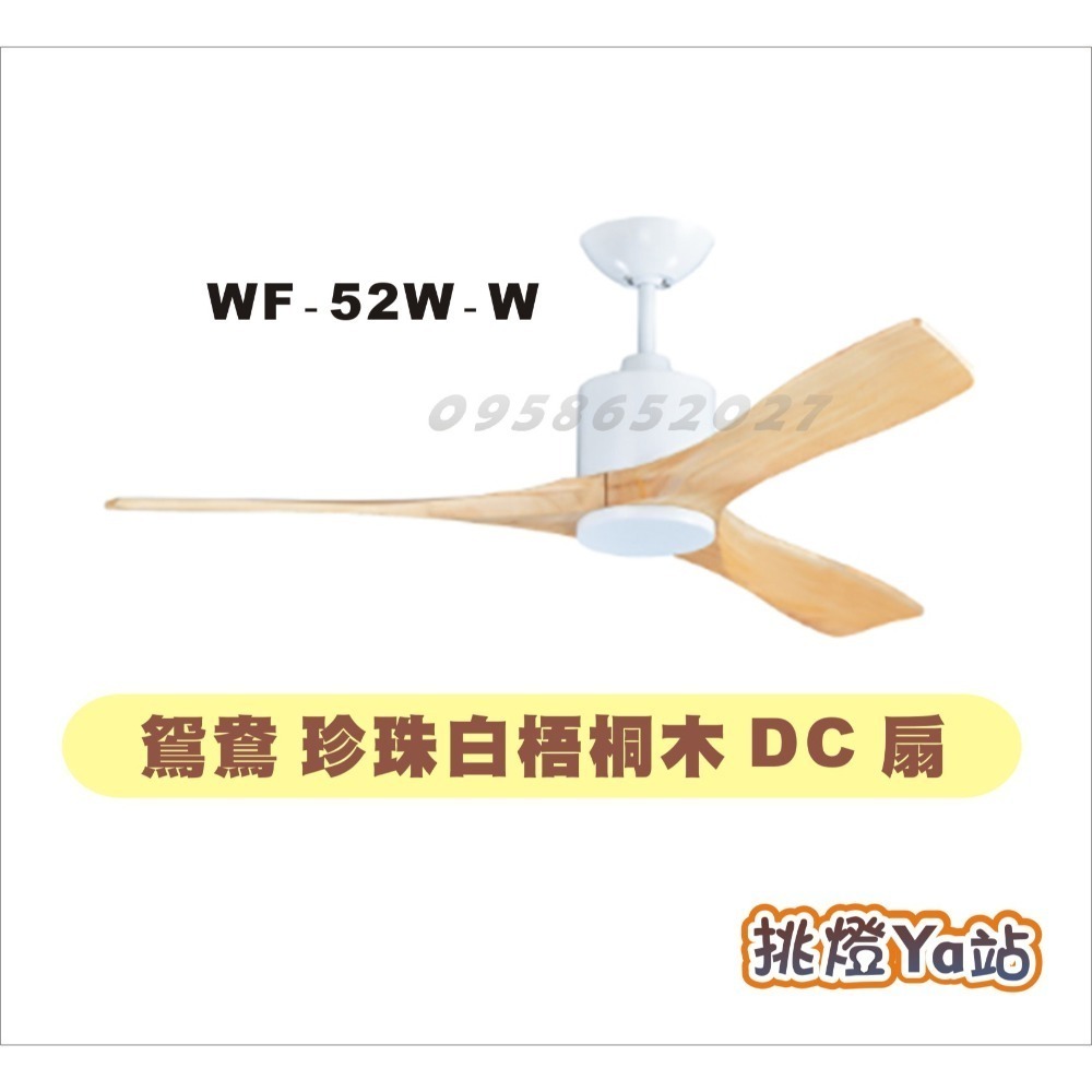 珍珠白 梧桐木