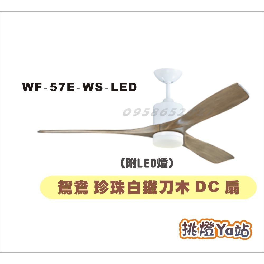 珍珠白 鐵刀木-附LED