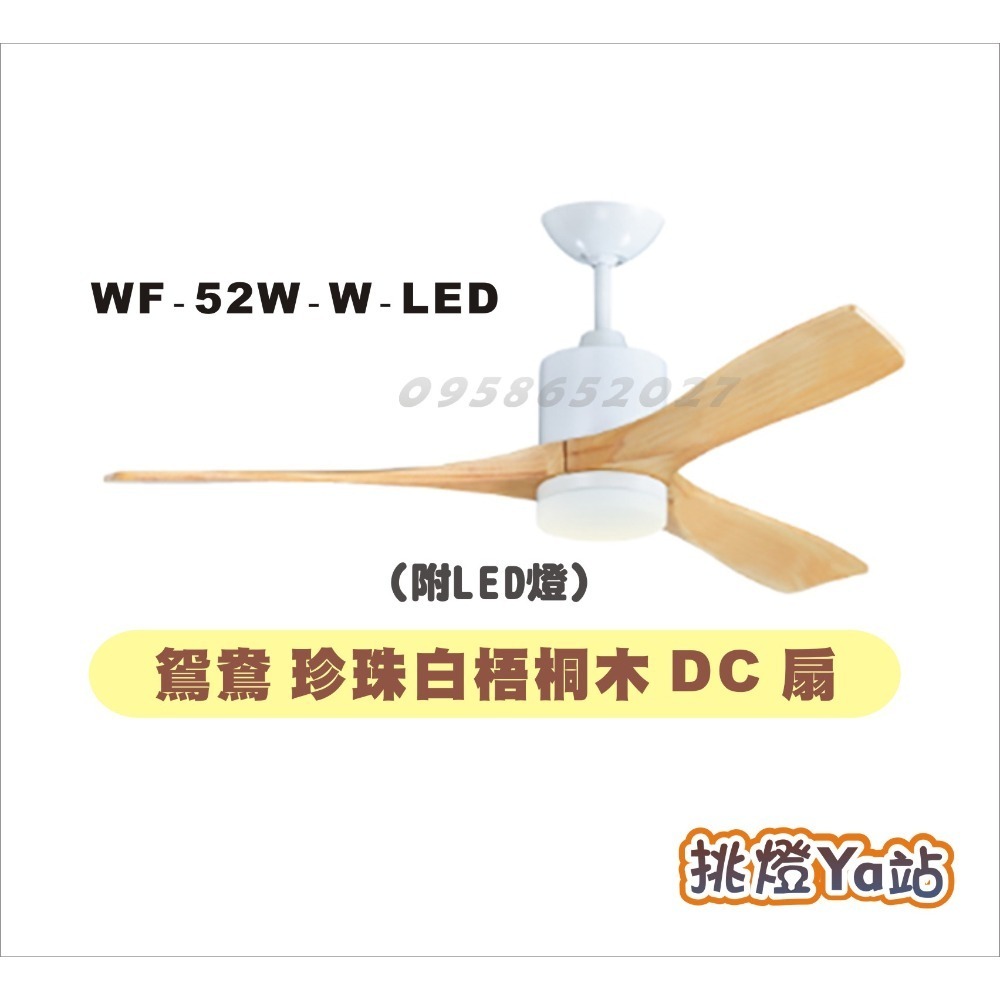珍珠白 梧桐木-附LED