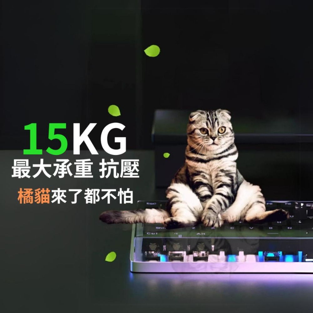 🐍RFH蛇粉天地🐍雷蛇訂製鍵盤罩 Deathstalker噬魂金蠍系列 壓克力鍵盤防塵罩 防貓毛 防刮 防水防塵-細節圖6