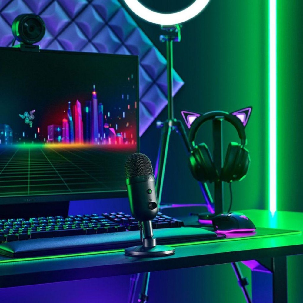 🐍蛇粉專屬天地🐍Razer Seiren V2 X 雷蛇魔音海妖 USB麥克風 電容式麥克風 直播麥克風 電競-細節圖2