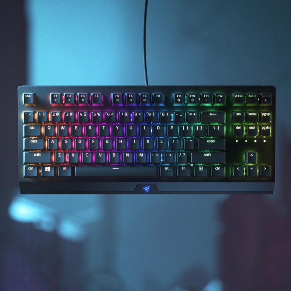 🐍蛇粉專屬天地🐍 Razer BlackWidow V3 Tenkeyless 雷蛇黑寡婦 V3 有線鍵盤 雷蛇鍵盤-細節圖2