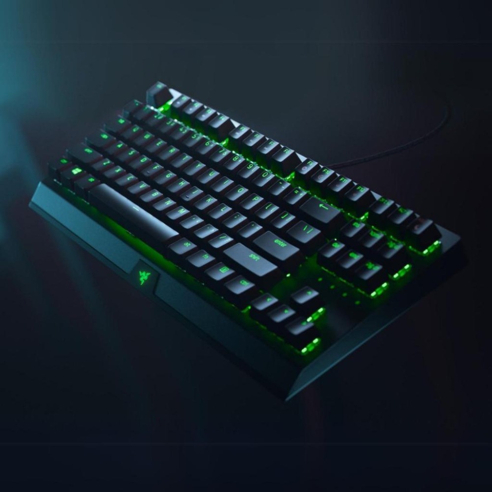 🐍蛇粉專屬天地🐍 Razer BlackWidow V3 Tenkeyless 雷蛇黑寡婦 V3 有線鍵盤 雷蛇鍵盤-細節圖3