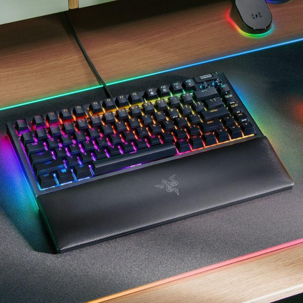 🐍蛇粉專屬天地🐍 Razer BlackWidow V4 75% 雷蛇黑寡婦V4 75% 有線鍵盤 電競專用 熱插拔鍵盤-細節圖6