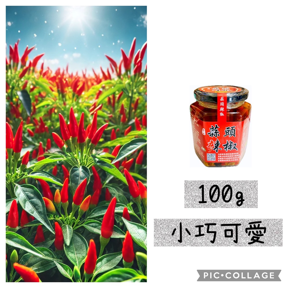 《翔讚辣椒蒜頭》經典小魚丁香魚辣椒醬 ，手工辣椒醬，無添加，純天然-規格圖11