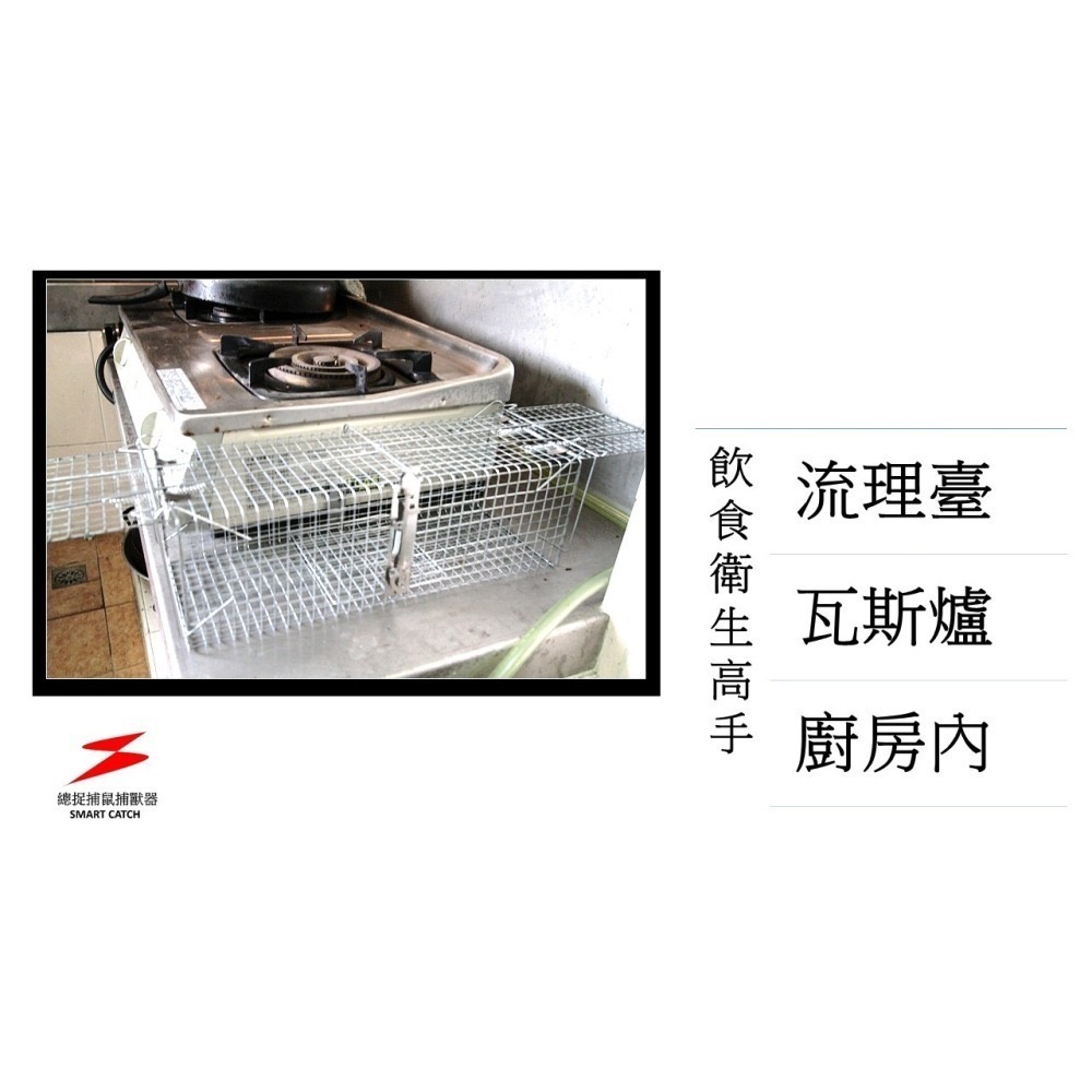 限時特價總捉捕鼠專家總抓 S40 捕鼠籠 捕鼠器 老鼠籠 雙門 不需誘餌 踏板式 捕蛇籠 捕狗籠 抓老鼠誘捕籠-細節圖3