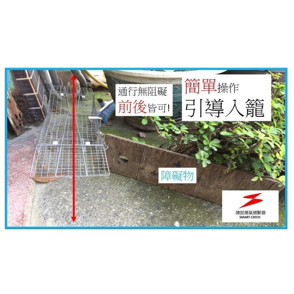 限時特價總捉捕鼠專家總抓 S40 捕鼠籠 捕鼠器 老鼠籠 雙門 不需誘餌 踏板式 捕蛇籠 捕狗籠 抓老鼠誘捕籠-細節圖6