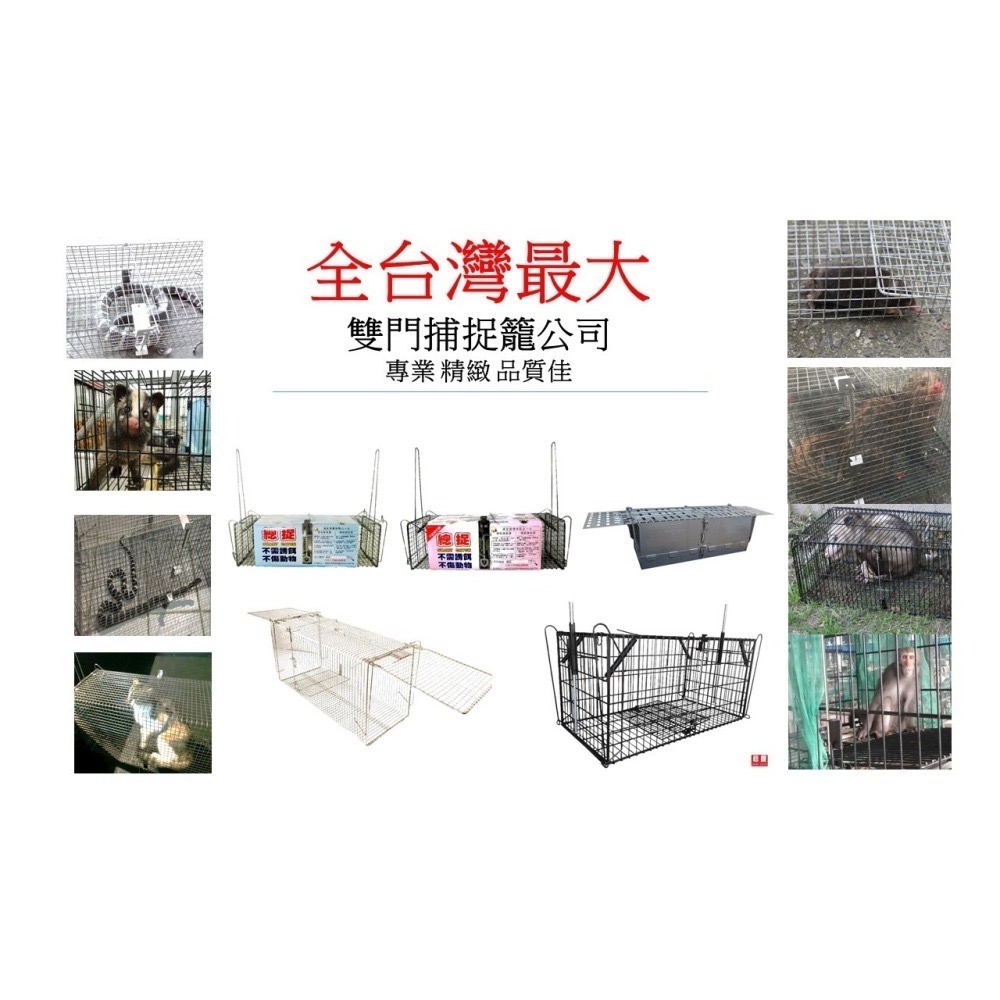 限時特價總捉捕鼠專家總抓 S40 捕鼠籠 捕鼠器 老鼠籠 雙門 不需誘餌 踏板式 捕蛇籠 捕狗籠 抓老鼠誘捕籠-細節圖7