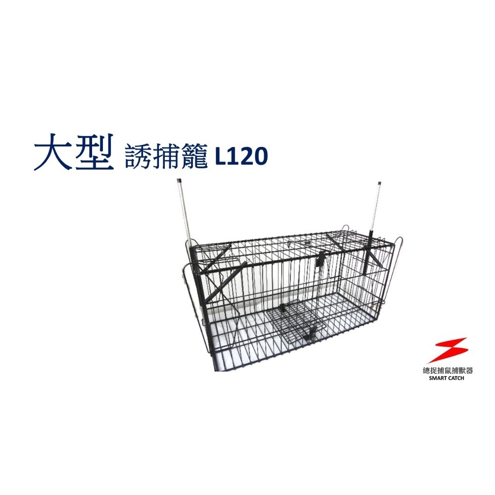 限時特價總捉捕鼠專家總抓 S40 捕鼠籠 捕鼠器 老鼠籠 雙門 不需誘餌 踏板式 捕蛇籠 捕狗籠 抓老鼠誘捕籠-規格圖11