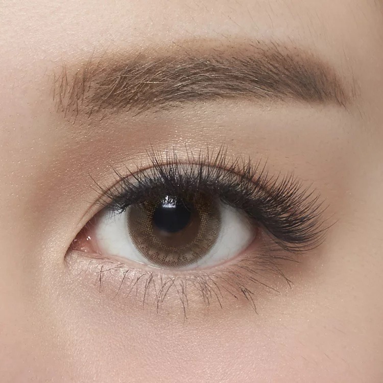 🚀現貨+預購🚀《美館》Biomooi翔盛 山茶花睫毛 公司正貨 美睫 嫁接 植睫 開花-細節圖3