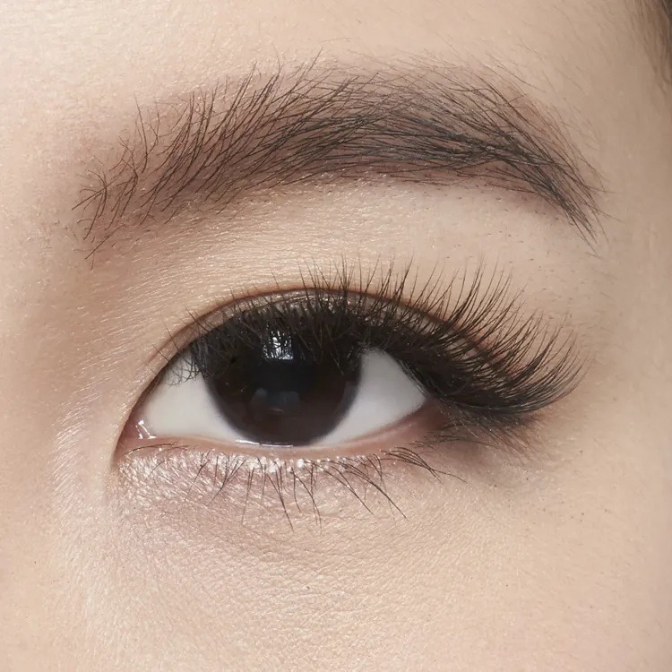 🚀現貨+預購🚀《美館》翔盛 Biomooi 皇家御用睫毛 ROYAL 假睫毛 美睫 嫁接 接睫 植睫-細節圖5