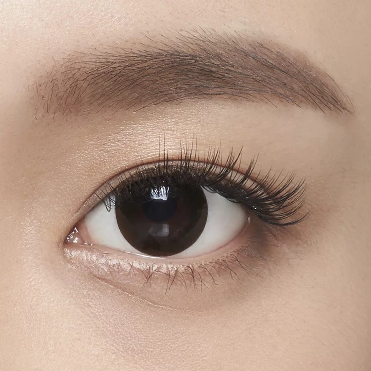 🚀現貨+預購🚀《美館》翔盛 Biomooi  黑天鵝_黑色_0.15 假睫毛 美睫 嫁接 接睫 植睫 美睫師-細節圖5