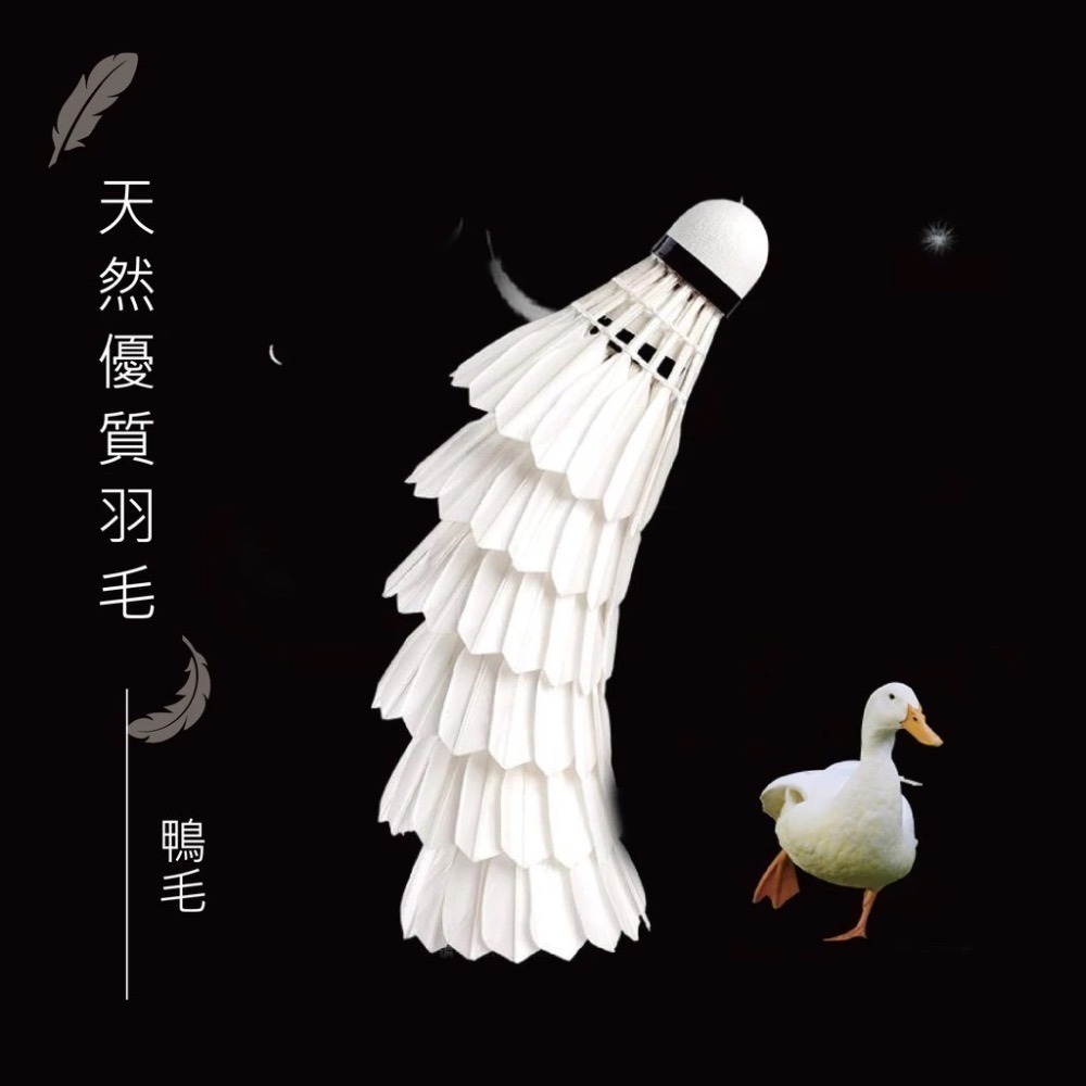 𝙎𝙊𝙎𝘼羽球超市｜VOLAR 比賽級羽毛球 VOLAR 30 羽球 VOLAR30 V30-細節圖6