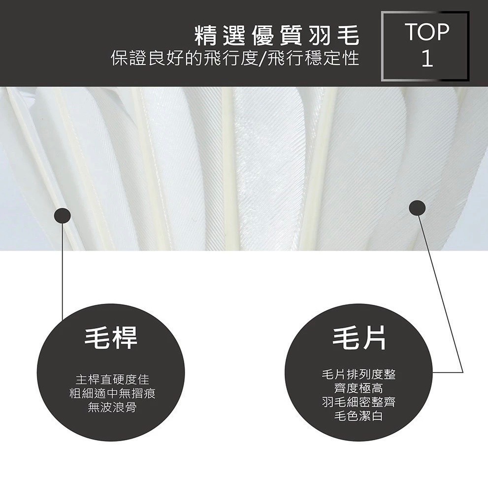 𝙎𝙊𝙎𝘼羽球超市｜VOLAR 比賽級羽毛球 VOLAR 30 羽球 VOLAR30 V30-細節圖7
