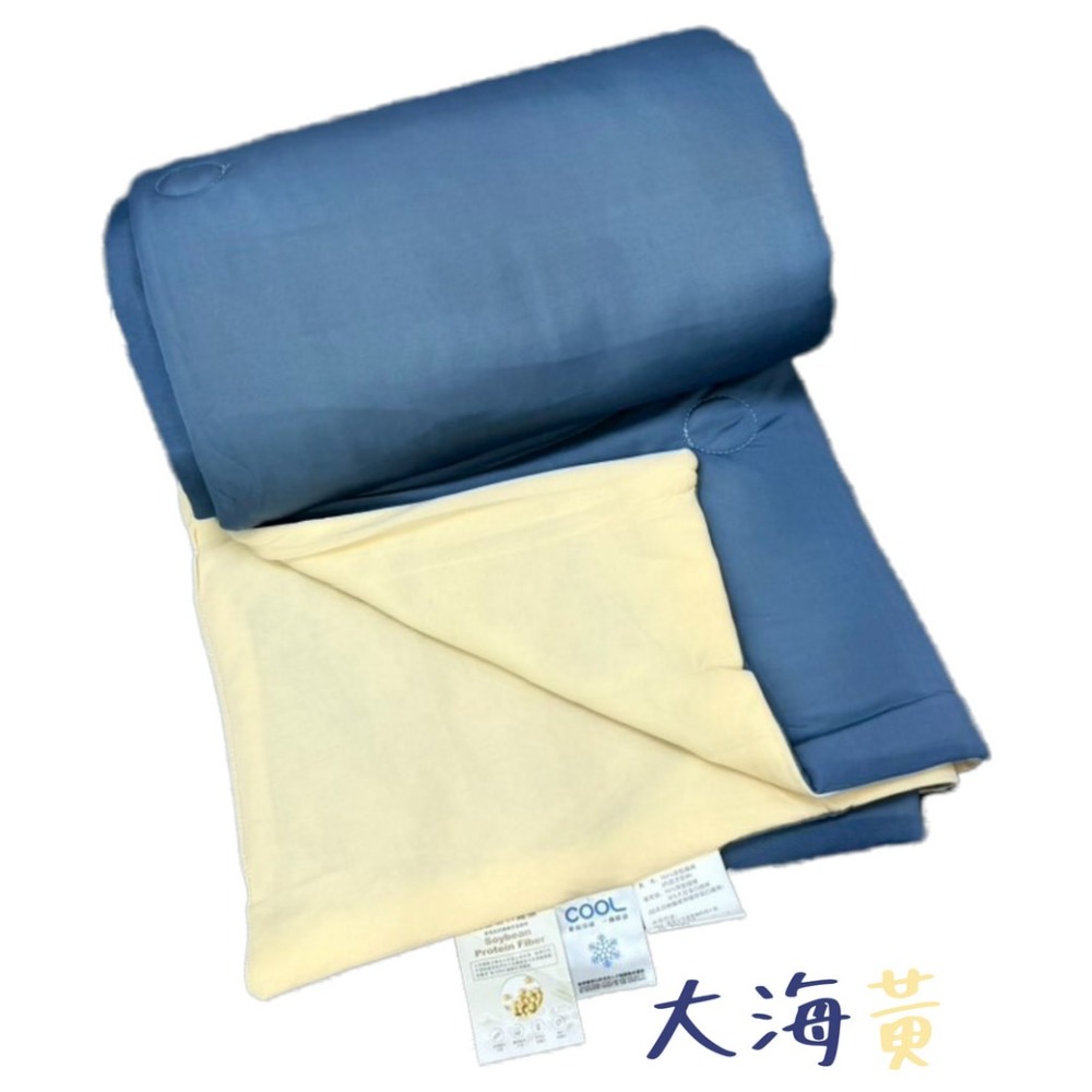 【爽眠工房】2025最新推出 冰肌水果被🥶爆效降溫🥶要冰要爽 整夏爽眠 雙面印花 親膚面料 涼被 冷氣被 涼感-規格圖8