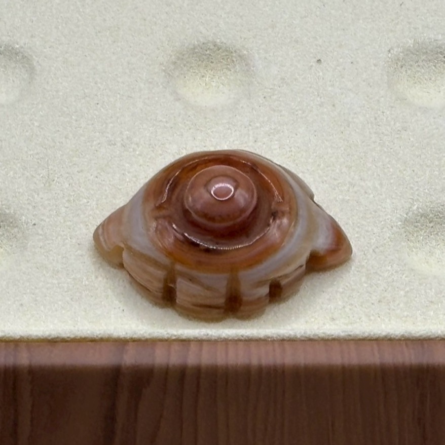 DIY 手作系列 天然原礦雕刻 紅天眼 招財小天眼 一葉成名 老雕刻 雕刻天珠 老礦石 老珠 九頁岩 天然西藏原礦-細節圖10