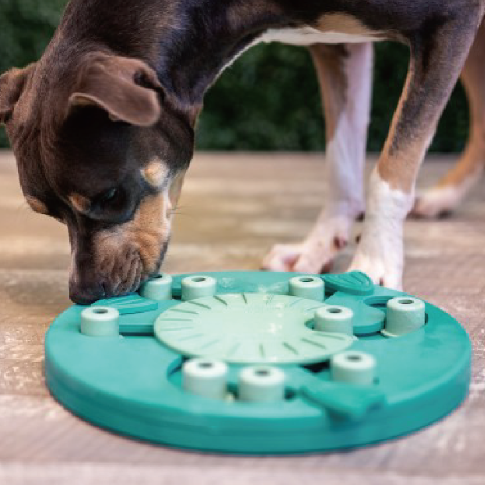 ［全新現貨］瑞典Nina Ottosson 冒險狗-尋寶基地Lv.3（森林系）｜慢食盤藏食益智玩具-細節圖3