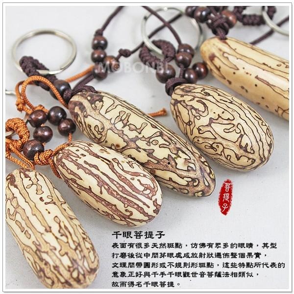 【摩邦比】千眼菩提子鑰匙圈吊飾 菩提樹果實觀音眼千手觀音菩提子樹菩提吊飾鱷魚果同心果佛眼吊飾禮贈品PT-1-細節圖2