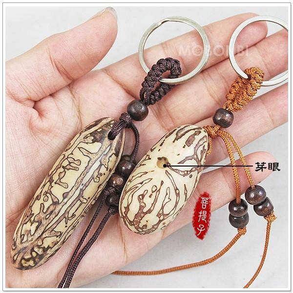 【摩邦比】千眼菩提子鑰匙圈吊飾 菩提樹果實觀音眼千手觀音菩提子樹菩提吊飾鱷魚果同心果佛眼吊飾禮贈品PT-1-細節圖3