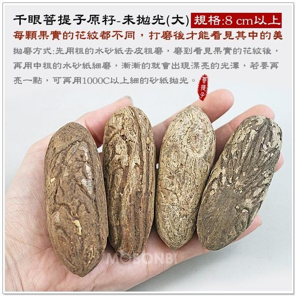 【摩邦比】千眼菩提子原籽(大8cm以上) 菩提樹果實觀音眼千手觀音菩提子樹菩提吊飾鱷魚果同心果佛眼吊飾禮贈品PT-2-細節圖2