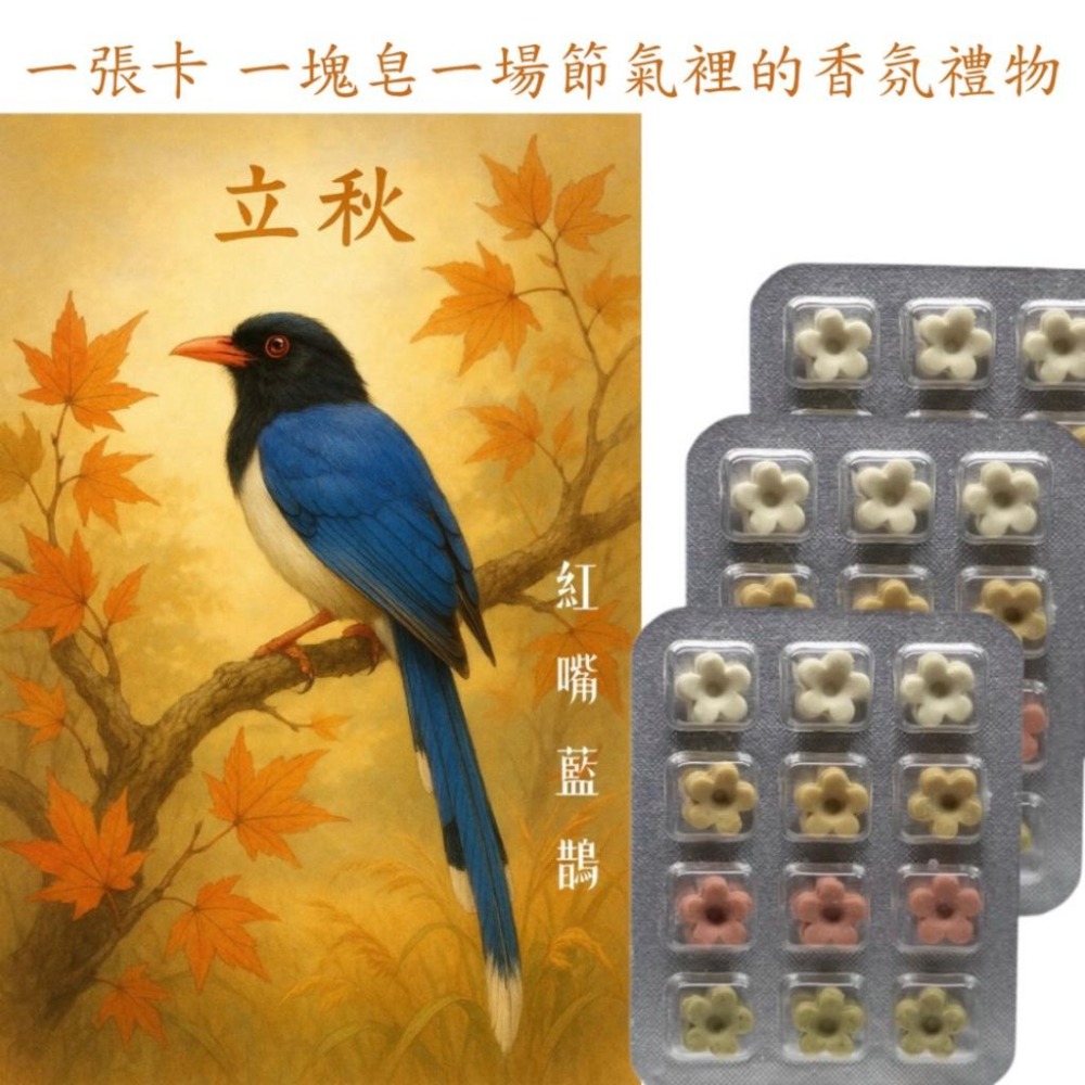 秋季插畫卡 草本香皂 立秋霜降節氣卡片 原創設計香氛皂 快速出貨 台灣製造#洗手皂#外出皂#防疫小物#香氛卡#療癒小物-細節圖2