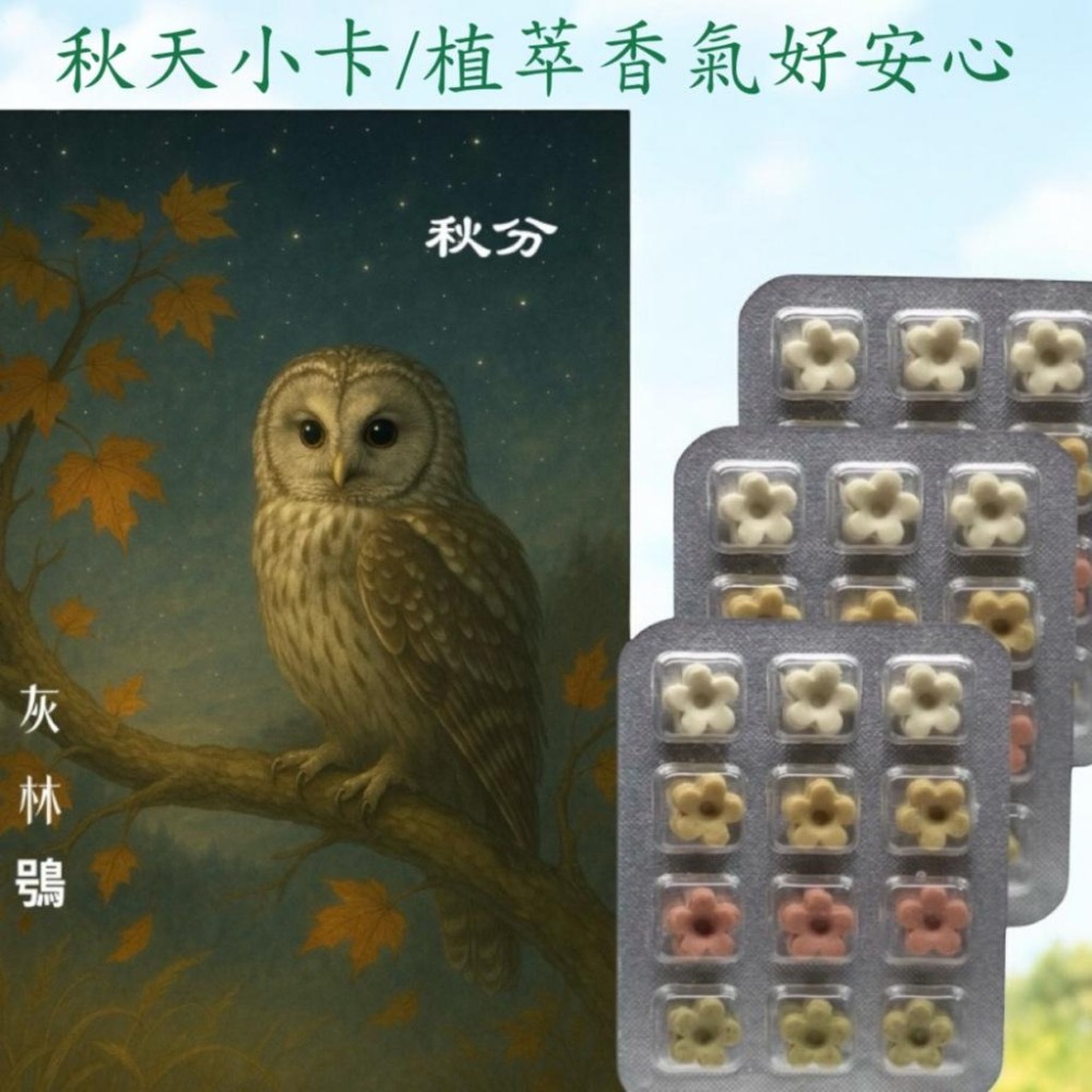 秋季插畫卡 草本香皂 立秋霜降節氣卡片 原創設計香氛皂 快速出貨 台灣製造#洗手皂#外出皂#防疫小物#香氛卡#療癒小物-細節圖4