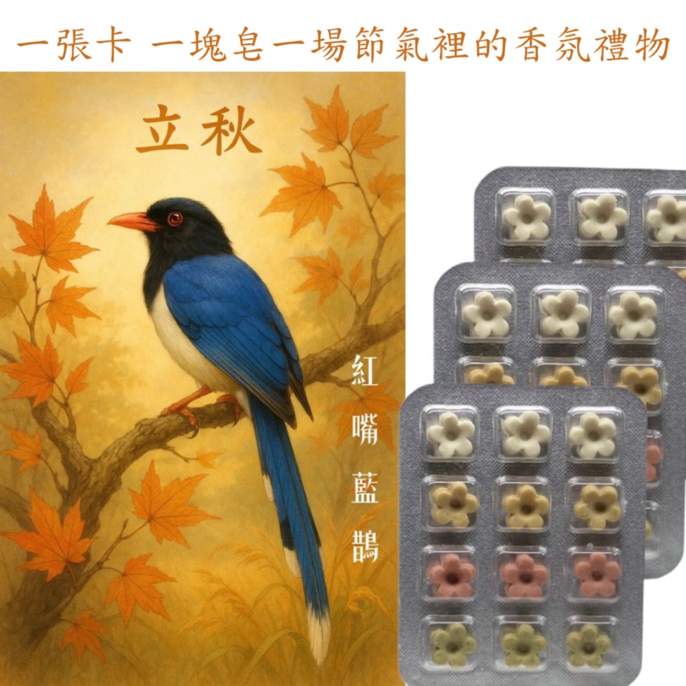 秋季插畫卡 草本香皂 立秋霜降節氣卡片 原創設計香氛皂 快速出貨 台灣製造#洗手皂#外出皂#防疫小物#香氛卡#療癒小物-規格圖8