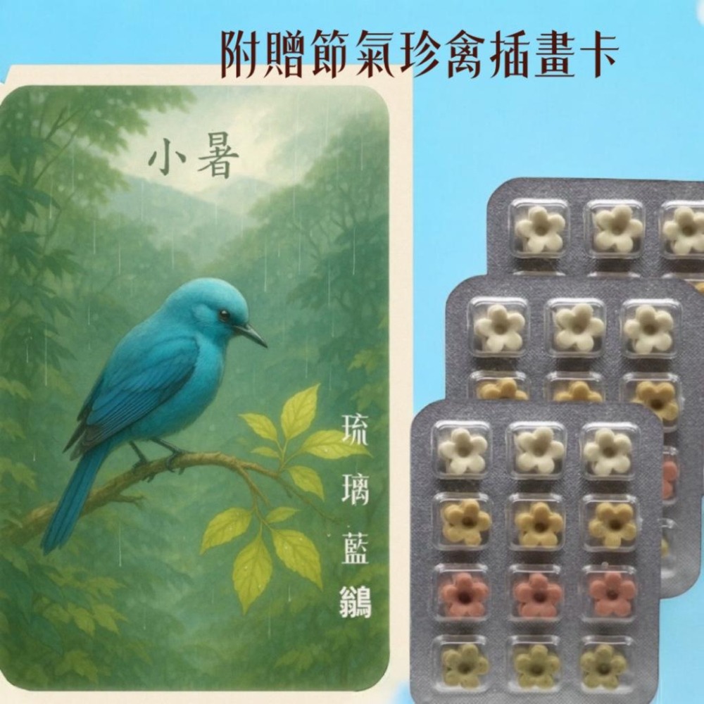 夏季節氣卡 +天然草本皂 讓香氣乘著鳥語飛進夏日 獨家首創插畫卡草本皂#洗手皂#隨身皂#防疫小物#療愈小物#香氛卡-細節圖6
