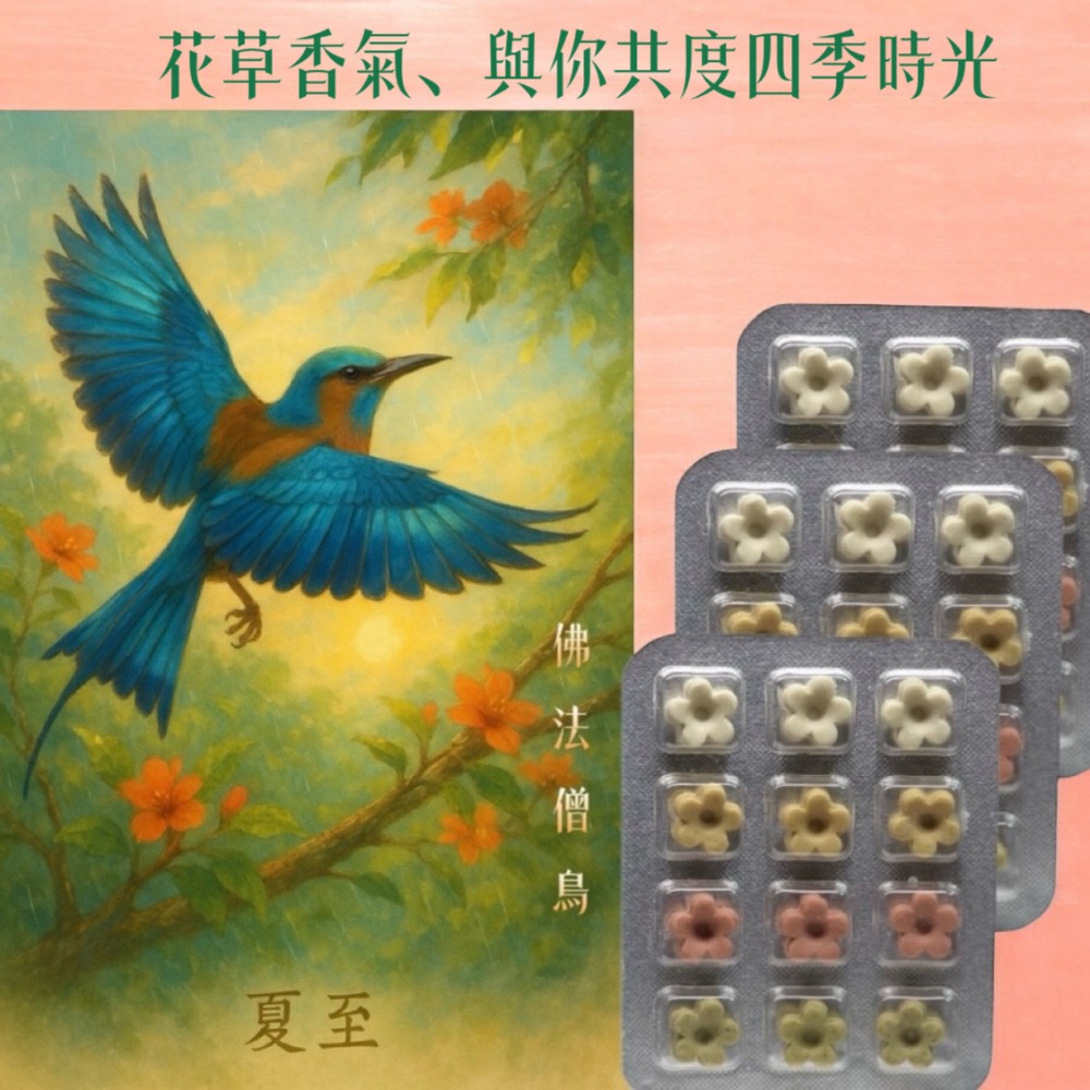 夏季節氣卡 +天然草本皂 讓香氣乘著鳥語飛進夏日 獨家首創插畫卡草本皂#洗手皂#隨身皂#防疫小物#療愈小物#香氛卡-規格圖9