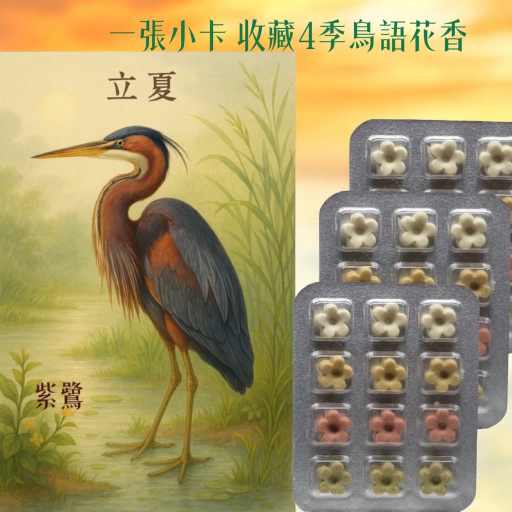夏季節氣卡 +天然草本皂 讓香氣乘著鳥語飛進夏日 獨家首創插畫卡草本皂#洗手皂#隨身皂#防疫小物#療愈小物#香氛卡-規格圖9